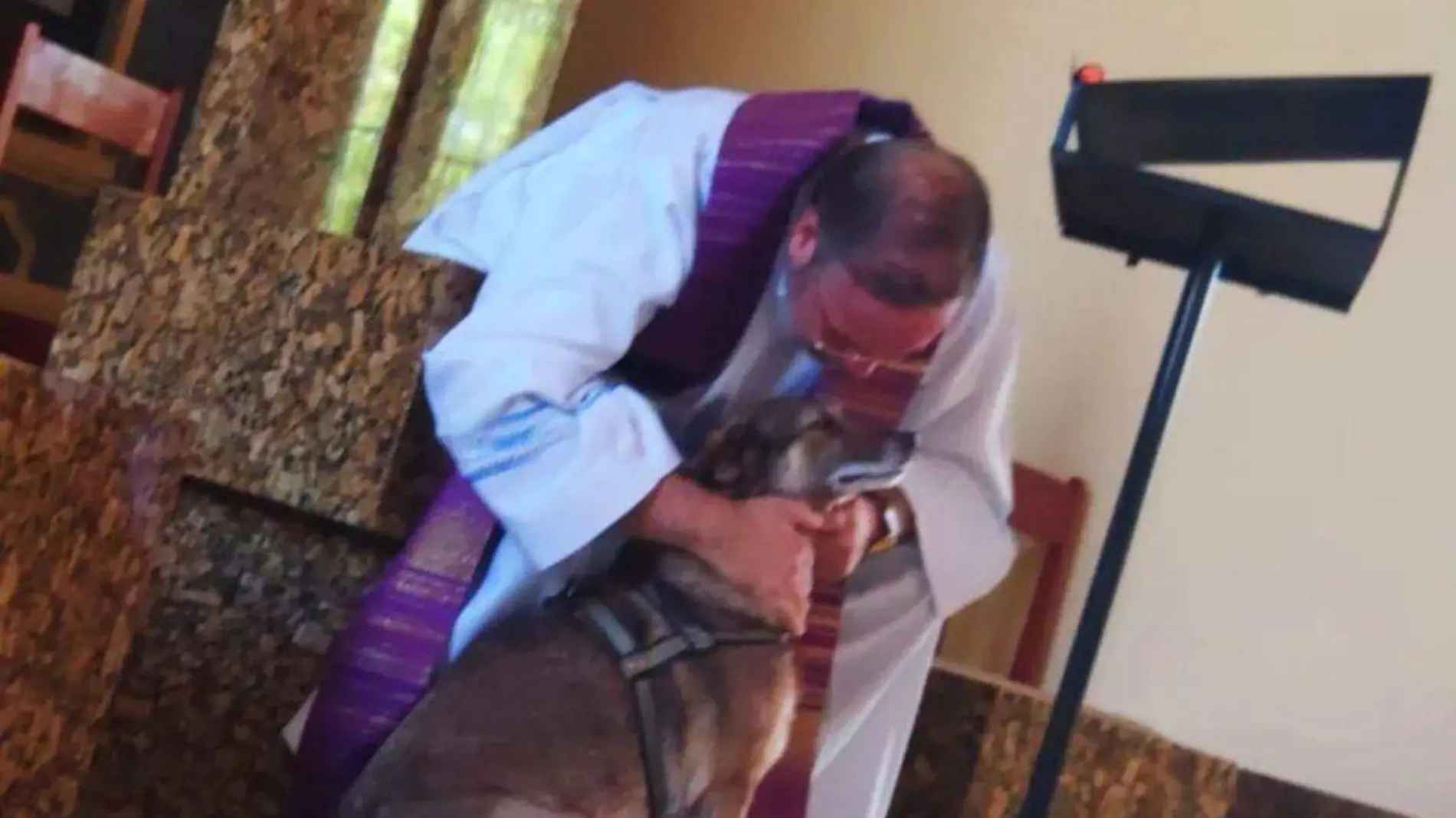 Sacerdote en Brasil rescata perros 